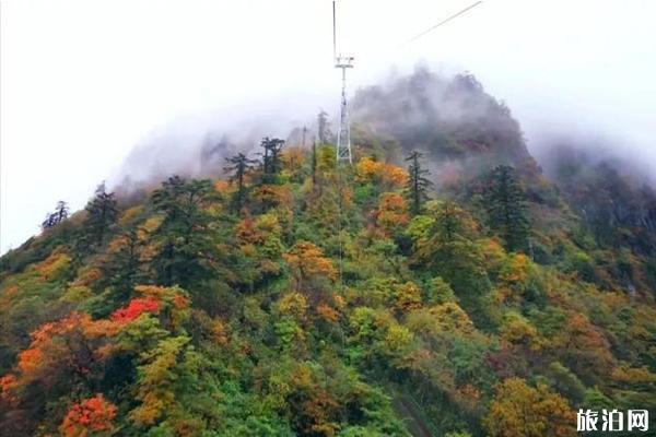 四川秋色最美的地方推荐 四川秋天哪里风景美