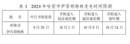 新疆胡杨林最佳观赏时间