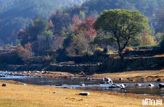 武漢秋冬旅游去哪好 武漢秋冬旅游景點排行榜