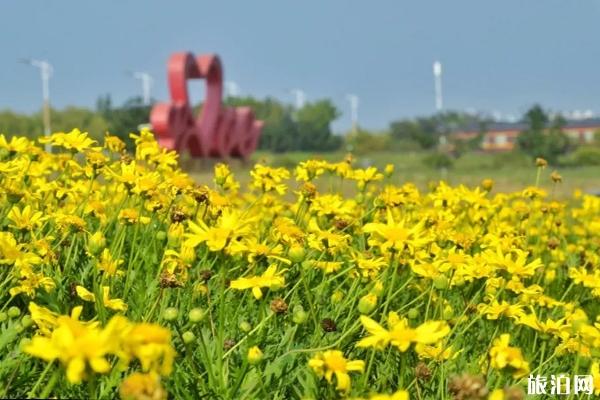 苏州秋天赏花去哪儿 苏州秋季赏花攻略