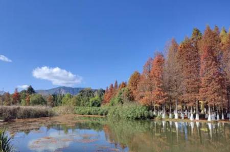 昆明西山区免费公园有哪些地方