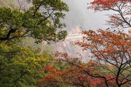 南阳秋季旅游景点有哪些