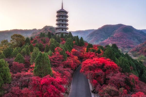 濟南紅葉谷紅葉最佳觀賞地點在哪