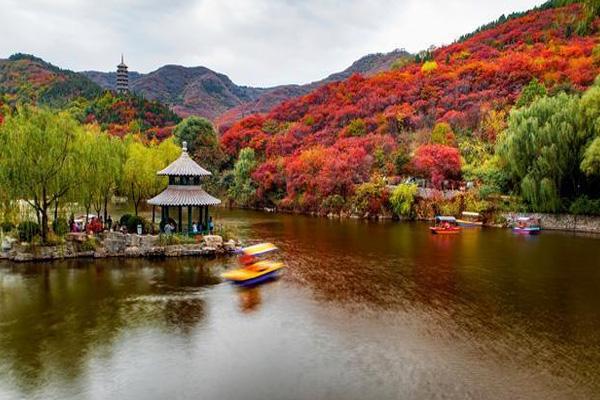 济南红叶谷红叶最佳观赏地点在哪