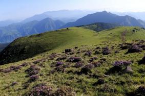 樂山馬邊旅游景區(qū)有哪些