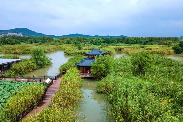 2024德清下渚湖濕地公園門票多少錢