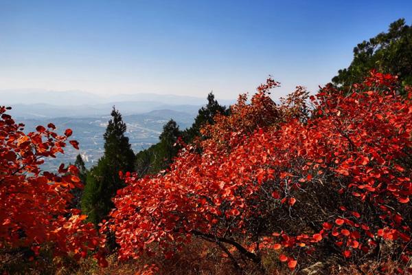 濟南爬山的好地方