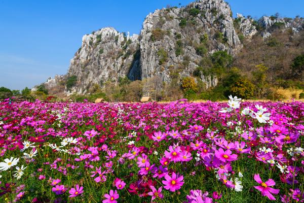 芜湖哪里可以看红叶