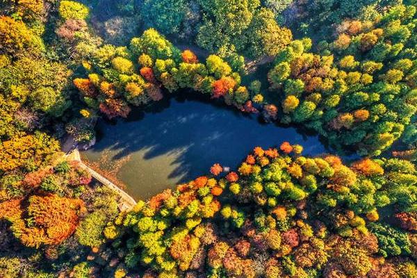 2024波爾登森林公園門票優惠政策