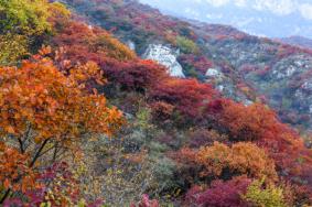 濟源秋季旅游景點推薦