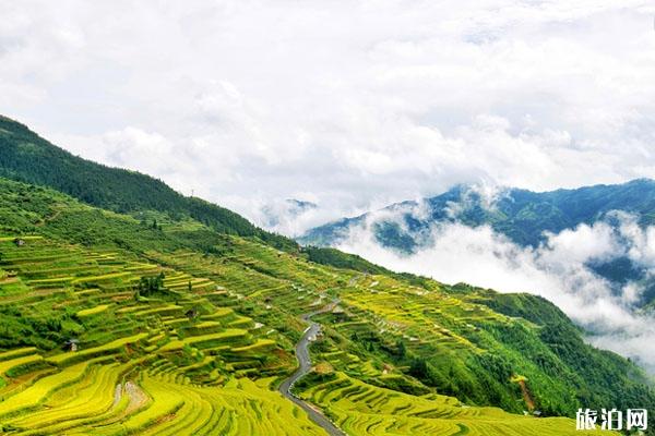 贵州加榜梯田旅游攻略-门票价格-景点信息