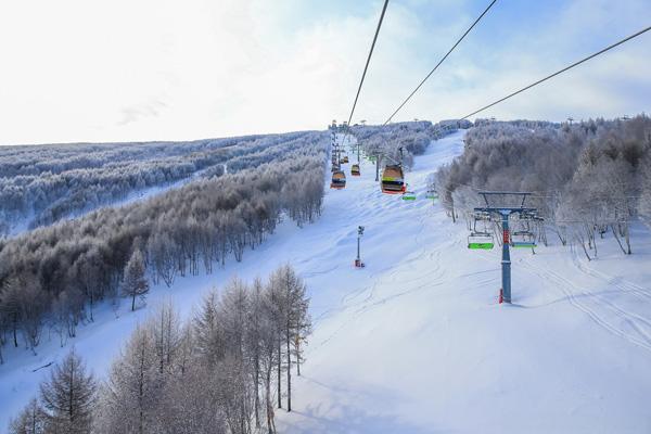 張家口崇禮滑雪場在哪里