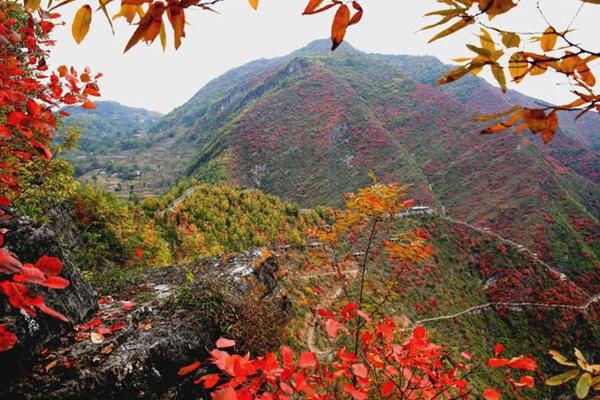 2024天蓬山寨風景區門票多少錢