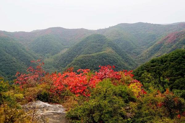 2024竹林長壽山門票多少錢