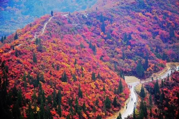 2024竹林长寿山门票多少钱