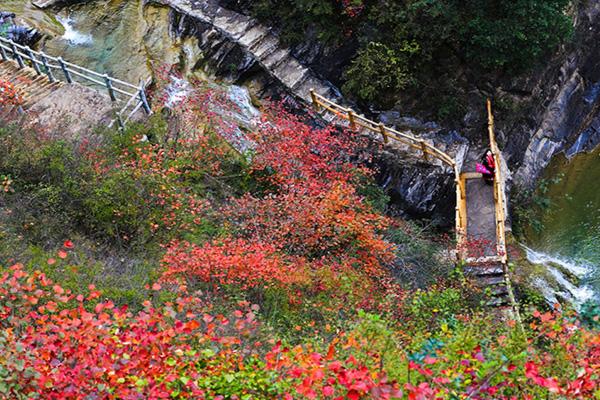 2024月亮洞溶洞风景区门票多少钱