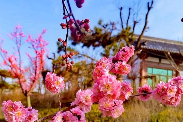 渭南南湖公園旅游攻略-門票價格-景點信息