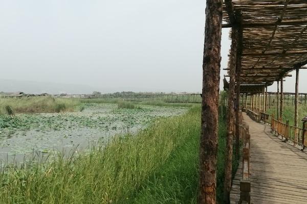 黃河濕地公園旅游攻略-門票價格-景點信息