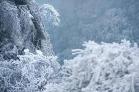 廣州出發看雪的旅游景點