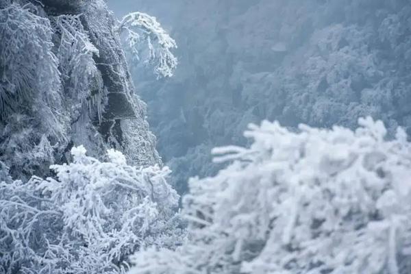 广州出发看雪的旅游景点