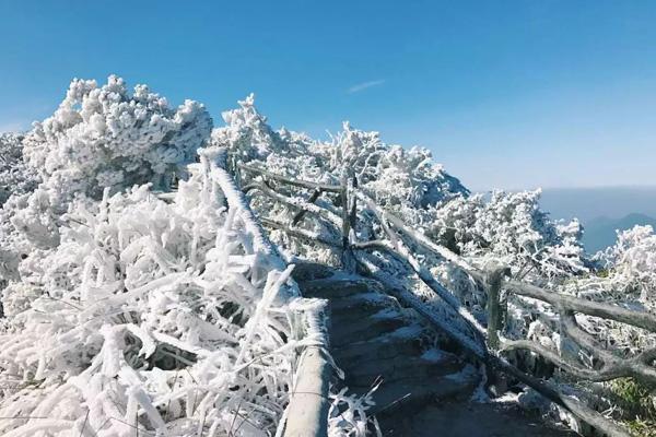 广州出发看雪的旅游景点