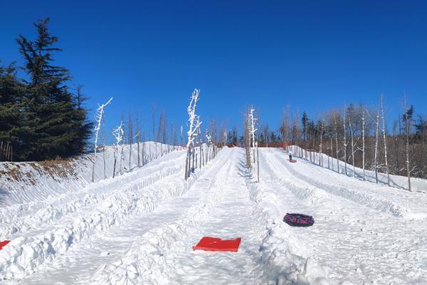 潍坊哪有滑雪场