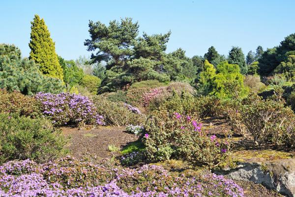 2025太原植物園門票多少一張