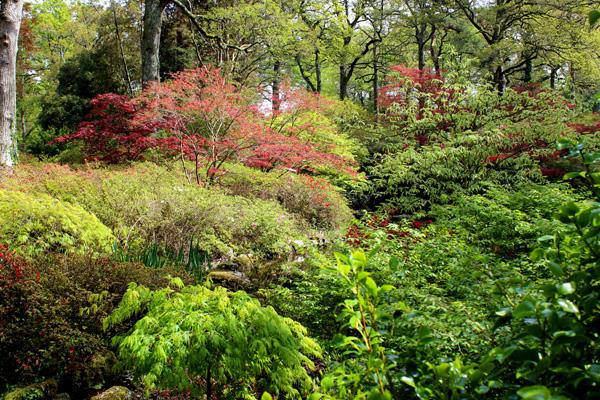 2025太原植物園門票優惠政策