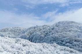 重慶哪里雪景好看