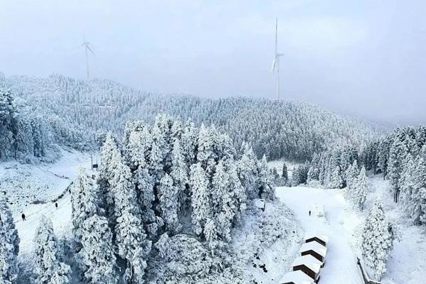 重庆哪里雪景好看