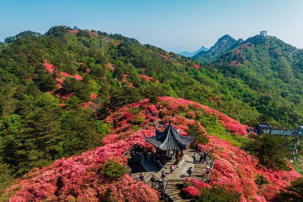 2025湖北龟峰山景区门票多少钱