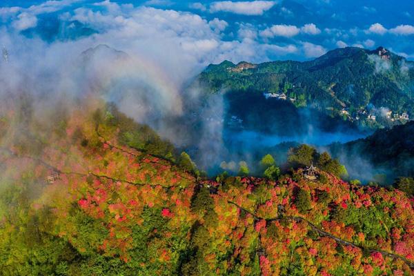 2025湖北龜峰山景區(qū)門票多少錢