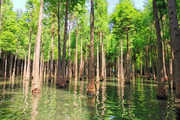 昆明捞鱼河湿地公园要门票吗