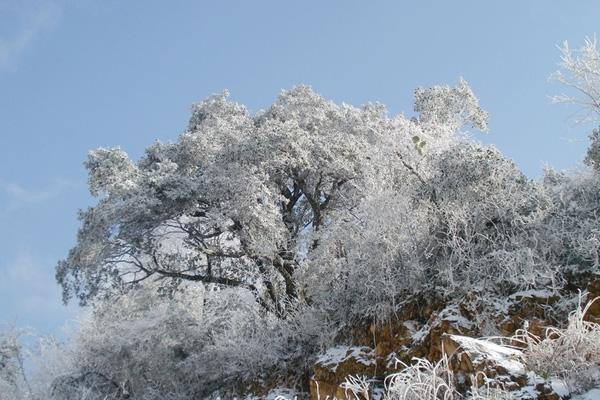 郴州看雪的好地方