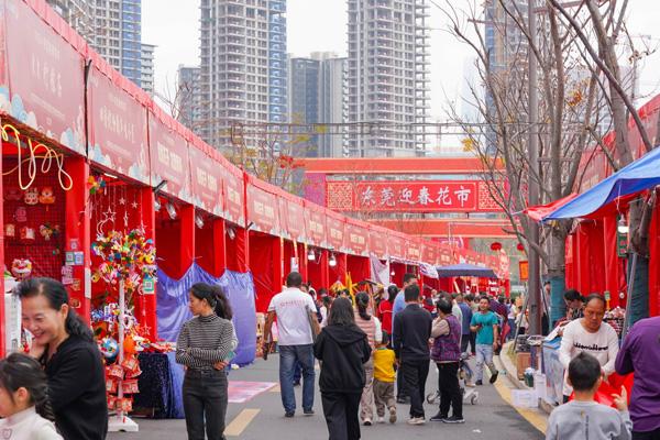 东莞迎春花市场在哪里