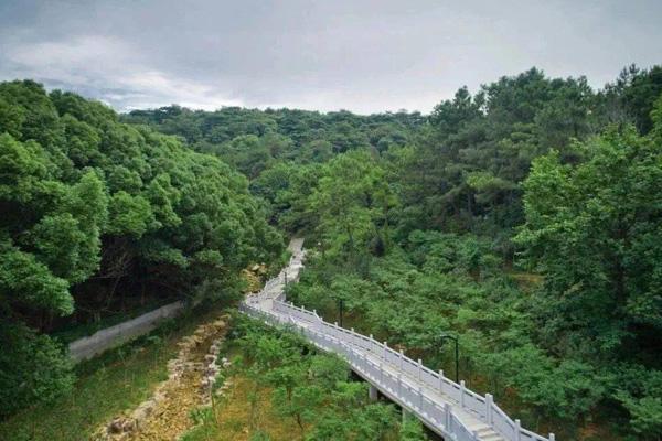 蘇州森林步道在哪里