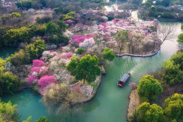 杭州梅花观赏地方有哪些