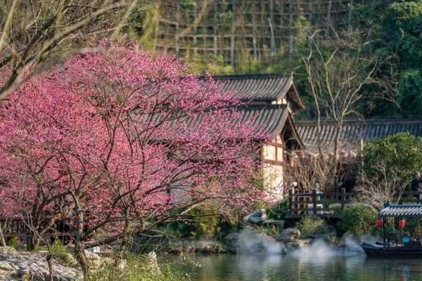 上饒賞梅花的最佳地方