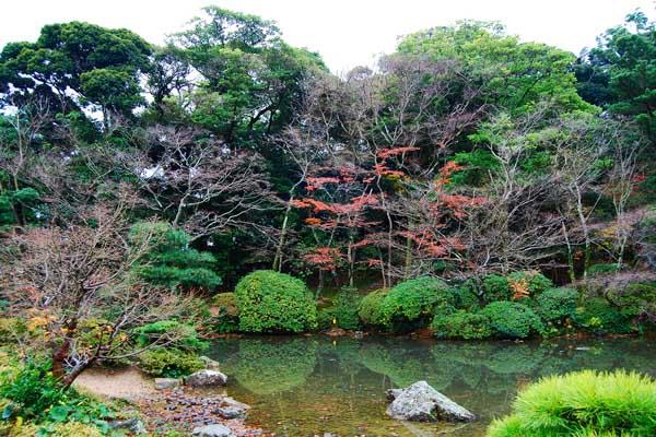 南寧春季賞花地方推薦