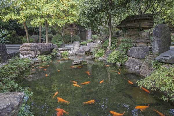 2025花港觀魚門票多少錢