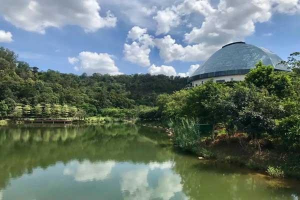 惠州植物园有什么好玩的