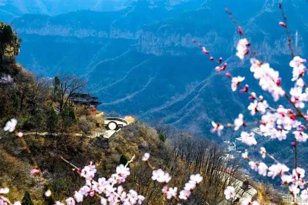 石家莊去哪里看桃花