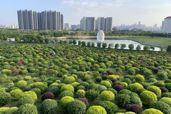 惠州春季賞花景點有哪些