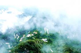 五朵山门票免费政策2025年