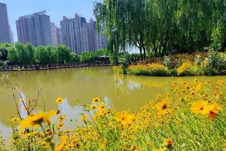 洛阳适合情侣去的景点