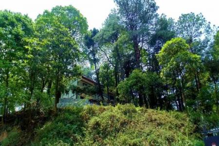 荣县必去的5个景点