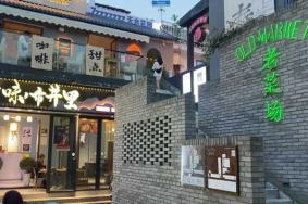 西安适合一个人出去玩的地方