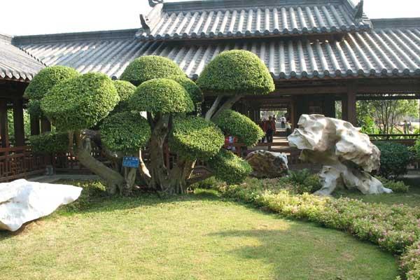 南宁一日游必去5个地方