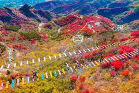 2025红叶柿岩景区门票多少钱