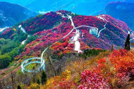 2025红叶柿岩景区门票多少钱